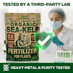 Organic Sea Kelp Fertilizer for Plants – Water-Soluble – Makes 100 Gallons – Kelp Meal Concentrate Plant Food – for Indoor Gardens, Hydroponics, Vegetables, Houseplants - Smart Grower - 4oz Bag