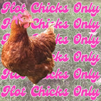 Hot Chicks Only | The Original Pink Poultry Pro Feeder DIY Port PVC Gravity Fed Chicken Feeder 3 Ports and Hole Saw | Rain Proof, Weather Resistant Chicken Feeder (Hot Chick Feeder Kit)