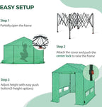 8x8 Pop Up Walk-in Greenhouse, Indoor & Outdoor PE Cover Green House w/ Power Access Ports, Roll-up Zippered Doors and Windows, Green