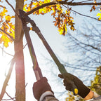 Woodland Tools Heavy Duty Lopper – 28 Inch Lever-Action Branch Cutter with Bypass Blade and Non Slip Grip – Manual Tree Limb Cutter for Thick Branches and Tough Yard Work