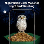 Kingsyard by Titto Solar Smart Bird Feeder with Camera, Bird Feeder Camera with AI Identify Birds Species & 2K HD Live View, Auto Capture Videos, Green (Pole Included)
