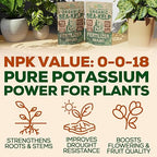 Organic Sea Kelp Fertilizer for Plants – Water-Soluble – Makes 100 Gallons – Kelp Meal Concentrate Plant Food – for Indoor Gardens, Hydroponics, Vegetables, Houseplants - Smart Grower - 4oz Bag