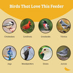 Birds Choice Classic Squirrel Proof Bird Feeder with Pole Mount | Tube Bird Feeder for Cardinals, Chickadees, Woodpeckers | Sturdy Steel for Long-Lasting Use | Backyard Birdseed Dispenser | Green