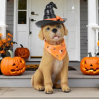 Halloween Decorations Indoor Dog Statue - Halloween Decor Figurine for Outdoor Indoor Mysterious Gothic Tabletop Puppy Sculpture Witch hat, Spooky Gifts Ghost Garden Decorations Rottweiler 5x7x13INCH