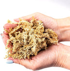 Premium New Zealand Sphagnum Moss by Gardenera - 20 Quart - Organic Hand Mixed Long Fibered Sphagnum Moss Orchid (4 Bags of 5 Quart)