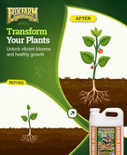 FoxFarm Tiger Bloom Liquid Fertilizer Concentrate - Fast Acting Formula for Vicious Growth with Phosphorus - Encourages Fruit, Flower & Bud Development, NPK 2-8-4 (2.5 Gallons)