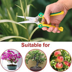 Gardening Scissors Hand Pruner Pruning Shear with Straight Stainless Steel Blades, Flower Cutter Garden Clippers, 8.1 Inch (Green)