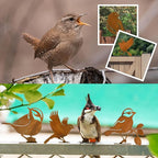 DIVINA VITAE 10Pcs Rusty Birds Decoration Lifelike Metal Birds Yard Art Simulation Bird Statue Yard Garden Decor for Outdoor Sculptures Art Fence Decorations(Style B)
