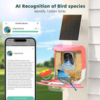Smart Bird Feeder with Camera Solar Powered - 2K HD Live Video Camera AI Identify Birds, Visible Window Auto Capture& Motion Detection -Instant Arrival Alerts, Birds Lover Gifts
