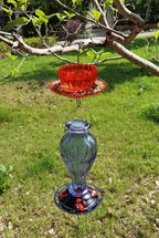 Ant Moat for Hummingbird Feeder - Freestyle 9 OZ Extra Large Capacity Insect Guard - Red Daisy Bowl & Dish