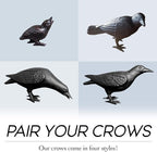 NACH Cast Iron Crow Statue, Head Down Raven, Large Garden Statues, Crow Garden Sculpture, Bird Figurines Home Decor, Crow Decor, Raven Decor, Black Bird Statue, 10 x 3.5 x 6 inches, JS-90-7117