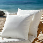 Codi Outdoor Pillow Inserts 20x20 Set of 2, Throw Pillows Waterproof for Patio Furniture
