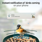 SOLIOM Solar Bird Feeder with Camera for Outdoors - Durable Metal AI Smart Birdhouse, 2K Live View & Instant Alerts, Squirrel Proof - Ideal Bird Watching Gift (Red)