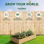 Greenes Fence Original Cedar Raised Garden Bed, 2' x 4' x 10.5" (3-Pack) - Made in USA with North American Cedar