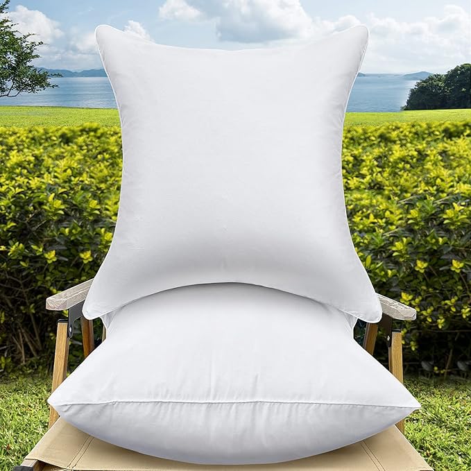 22 x 22 Outdoor Throw Pillow Inserts Set of 2 Waterproof Square Premium Decorative Couch Pillow Stuffers Form Large White Sofa Cushions Indoor