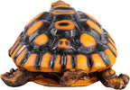 14.9-inch Outdoor Sea Turtle Statue Decoration, Large Lifelike Turtle Sculpture for Outdoor Garden, Courtyard Lawn, Lawn Landscape, Swimming Pool Decoration, Housewarming Gift
