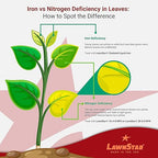LawnStar Liquid Iron (1 Gallon) for Plants - Multi-Purpose, Suitable for Lawn, Flowers, Shrubs, Trees - Treats Iron Deficiency, Root Damage & Color Distortion – EDTA-Free, American Made