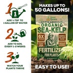 Organic Sea Kelp Fertilizer for Plants – Water-Soluble – Makes 50 Gallons – Kelp Meal Concentrate Plant Food – for Indoor Gardens, Hydroponics, Vegetables, Houseplants - Smart Grower - 2oz Bag