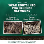 DYNOMYCO Granular Mycorrhizal Fungi Inoculant, 100g/3.5oz – Boosts Root Growth, Yields & Nutrient Uptake – 900 Propagules/g, Concentrated Granules, & OMRI Listed – Biofertilizer for Plant Growth