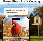 Bird Feeder with Camera, Smart Bamboo Bird Feeder, 2.5K UHD AI Identification, Real-time Videos & Pictures, Wireless Solar Powered Outdoor, Ideal for Garden Birding, Premium Present