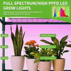 SUNYRISY Indoor Greenhouse with Grow Lights Plant Stand Shelf, 4 Tier Wall in Mini Small Greenhouse Kit with Zippered PVC Tent for Garden Seed Starting Tray, 36W Full Spectrum