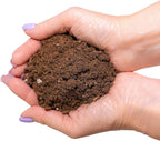 GARDENERA Premium Dracaena Potting Soil Mix - (20 Quart Bag)