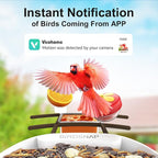 birdsnap® PAV- Smart Bird Feeder with Camera Solar Powered, 64GB Card & 2K HD Record Video Bird Camera Live with 5 DIY Add-ons, AI Identify Auto Capture, Ideal Gift for Birds Lover