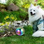 Stainless Steel Ball Stainless Steel Gazing Ball Globe Mirror Multi Color Mirror Reflective Garden Sphere for Outdoor Decor 15Cm