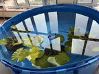 Canvas Fish Pond Pool,Above Ground Pond,PVC Fish Pond,Round Thickening Fish Pond Pool,Pool Above Ground with Durable Framed,for Fish Farming,Aquatic Products Breeding Pond 59 X31.5 in/356Gal
