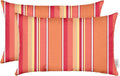 RSH DECOR: Sunbrella Lumbar Throw Pillows Set of 2 | 20" x 12" | Water and Fade-Resistant Performance Fabric | Outdoor Pillow Covers with Down-Alternative Inserts | Dolce Mango