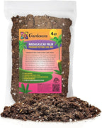Gardenera Madagascar Palm Potting Mix - Promote Strong Roots and Captivating Form with Our Premium Blend - 4 Quart
