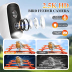 Smart Solar-Powered Bird Feeder with AI Camera - 1080P HD Auto-Capture, Motion Detection & Birds Species Recognition, WiFi Connectivity, for Bird Enthusiasts