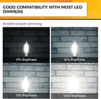 Hizashi E12 Candelabra Bulb 60 watt 5000K Daylight White, Dimmable E12 LED Bulb, 90+ CRI 6W 550LM, CA11 Flame Tip LED Chandelier Light Bulbs Candelabra Base, UL Listed - 12 Pack