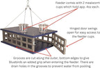JCs Wildlife Recyled Poly Lumber Deluxe Double Caged Platform Bluebird Feeder (Gray/Blue)