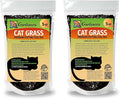 Gardenera Cat Grass Growing Medium - Provide Your Cat with a Fun and Healthy Source of Greens - 10 QUARTS