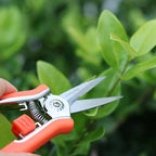 FLORA GUARD 6.5-Inch Floral Scissors, Zinc Alloy with Rubber Handle, Toothed Blade for Quick Cutting, Suitable for Flower Placement, Plant Pruning, Rose or Fruit Picking (6 PCS)