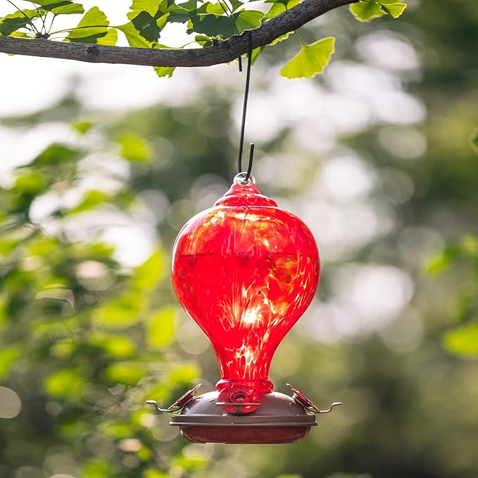2 Packs Hummingbird Feeder for Outdoors Hanging Ant and Bee Proof, 34OZ 32OZ Hand Blown Glass Hummingbird Feeders for Outside (Blue & Flame)