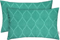 RSH DECOR: Lumbar Throw Pillows Set of 2 | 20” x 12" | All-Weather Spun Fabric | Water and Fade-Resistant | Outdoor Support Pillows for Patio Furniture | Fenbrook Teal