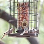 Caged Bird Feeders Metal - 3 Lbs - Squirrel-Proof Wild Bird Feeders, Clear Tube Feeders Hanging Outside Starling Proof, Detachable Cleaning, 4 Feed Ports(Copper)