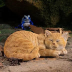 Garden Decor Cat Statue Outdoor Statue, Cat Figurines Garden Statues & Sculpture Decoration, Sleeping Cat Statue Decor for Patio, Porch and Lawn, Cat Gifts for Cat Lover and Women, Cat Memorial Stone