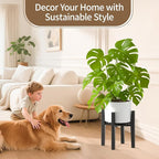 LASZOLA Bamboo Adjustable Plant Stand for Single Large Indoor Planters, Heavy Duty Floor Fern Holder Fits 8 to 12 Inch Pots, Mid Century Elevated Big Stool for Flower– Pot Not Included, Black, 2 Pack