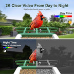 Smart Bird Feeder with Camera: Solar Powered Birdhouse with AI Recognition, Wireless Bird House with Camera for Outdoor, Unique Birthday Gifts for Mom Dad