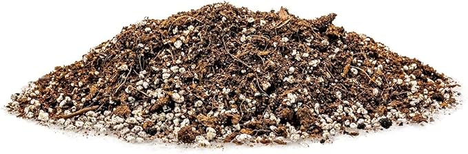 Gardenera Premium Raspberry Potting Soil Mix - Optimal Blend for Thriving and Juicy Berries - 10 Quart