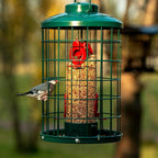 Caged Bird Feeder for Wild Birds Outside, Large Squirrel-Proof Heavy-Duty Metal Hanging Tube Bird Feeder, 4 Feeding Ports, 13.2'' High, 3LB Seed Capacity (Green)