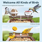 PeckCam® Bird Feeder with Camera Solar Powered, AI Identify & Auto Capture, 2K HD Live Video Smart Bird Feeder Camera Instant Notifications in Backyard, Gift for Bird Lovers