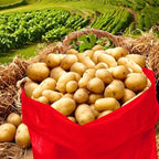 10Pcs Colorful Potato Sack Race Bags, Reusable Vegetable Storage Bags for Potato Tomato Onion Bean Storage