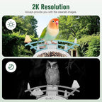 Bird Feeder with Camera, AI Identify Birds Species Solar Powered, Auto Record Videos in Backyard, Instant Notifications, Ideal Gift for Family and Bird Lovers