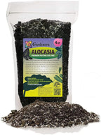 Gardenera Alocasia Potting Mix - Promote Strong Roots and Captivating Foliage with Our Premium Blend - 4 Quart, MAIN-ALOCASIA-4QT