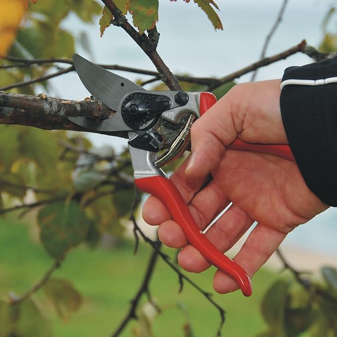 Felco F8 Pruning Shears – 8.3" Swiss-Made Garden Clippers with 1" Cutting Capacity for Ergonomic Comfort | Hand Pruners for Gardening | Garden Tool Cutter with Precision Bypass Blade, Aluminum Handles