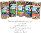 JCs Wildlife All Season Blend Premium Bird Seed Small Cylinder with Hole, 1.75 lb (6 Cylinder)